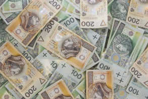 Dinheiro polones em diversas cedulas